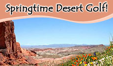 nevada_desert_banner_ad copy.jpg